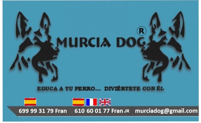 RESIDENCIA CANINA MURCIA DOG. Esta residencia y Escuela de Adiestramiento con núcleo zoológico nº ES300300240028 está ubicada en LA ALBERCA (MURCIA).